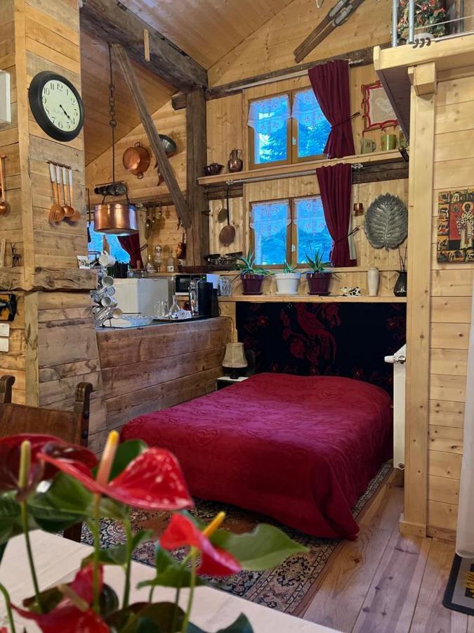 Ferme Savoyarde Renovee 2 Chambres Ле-Карроз-д'Араш Экстерьер фото